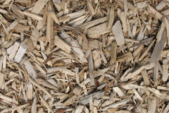 biomass boilers Freuchies