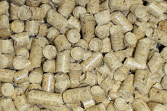 Freuchies biomass boiler costs